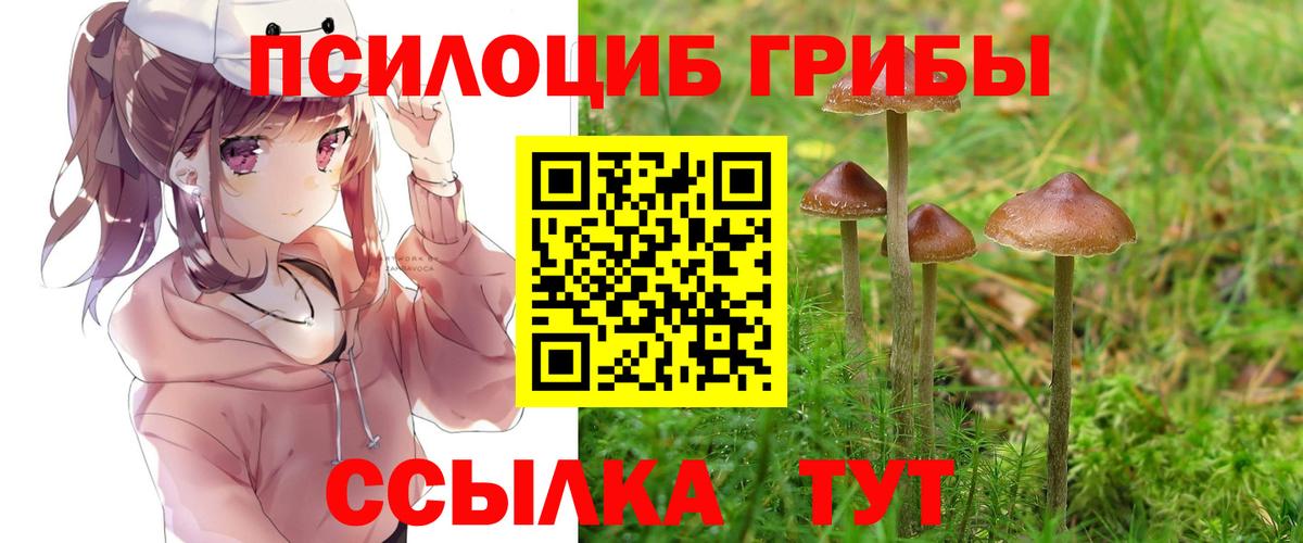 Полысаево  Псилоцибиновые грибы прущие грибы  Вход с VPN 