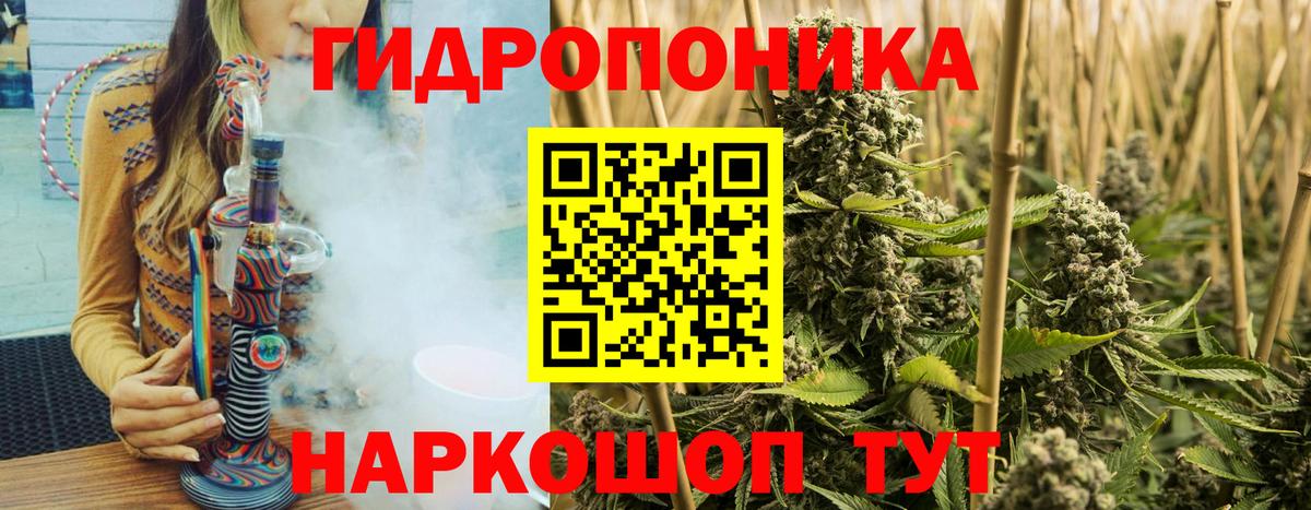 Бошки Шишки тримм  Вход с VPN  Полысаево  Бошки марихуана THC 21%  Шишки марихуана SATIVA & INDICA 